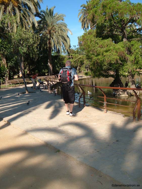 barcelona089