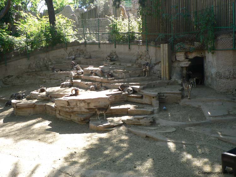 barcelona121