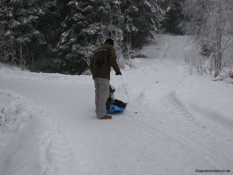 trysil100