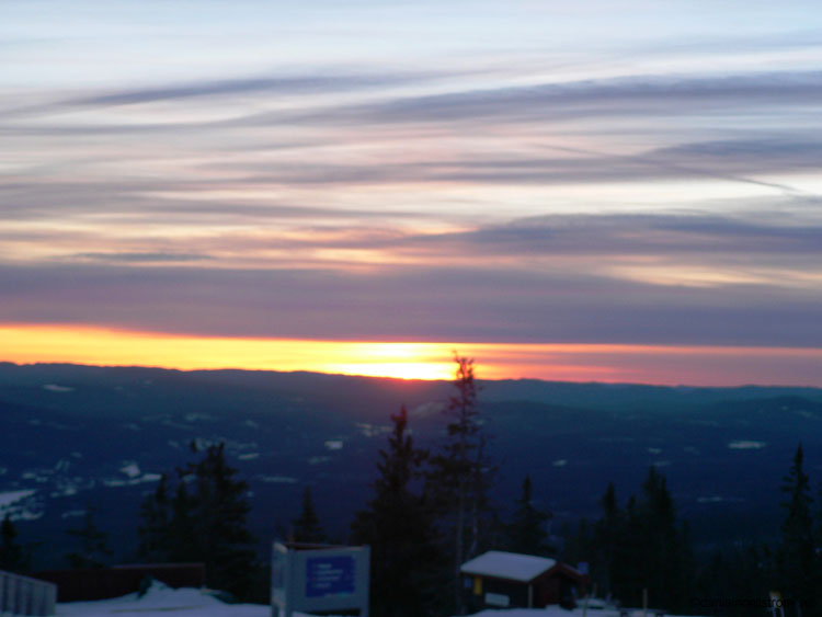 trysil240