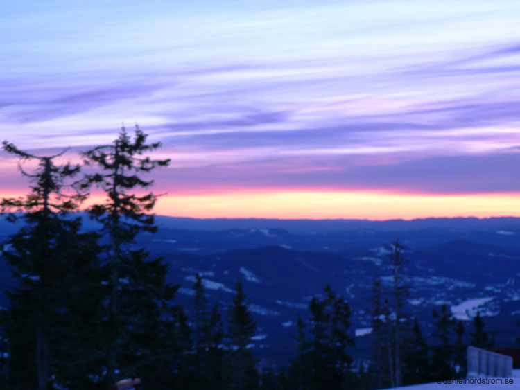 trysil241