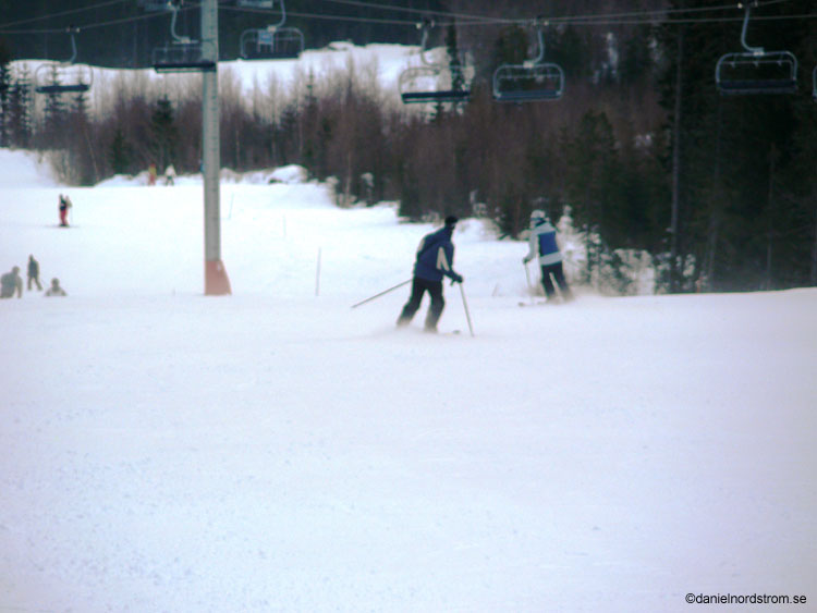 trysil431