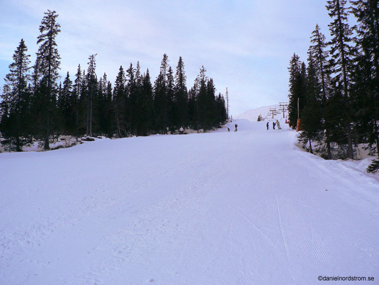 trysil438